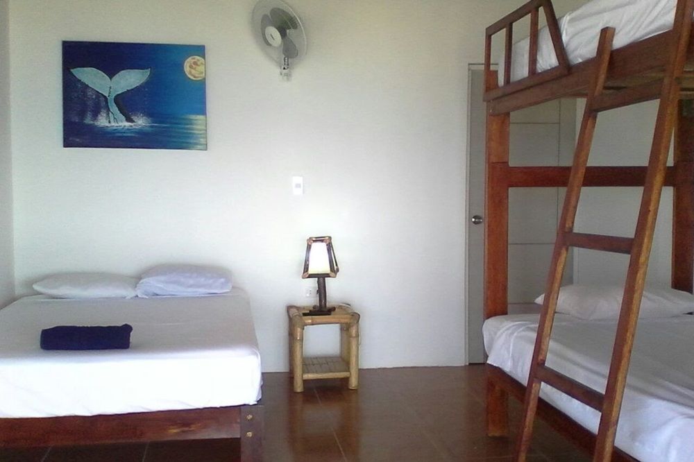 Las Tortuguitas Bungalows Лос-Органос Экстерьер фото